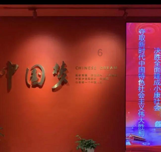 救援狗与猫