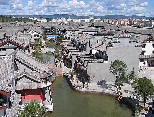 除虫大师