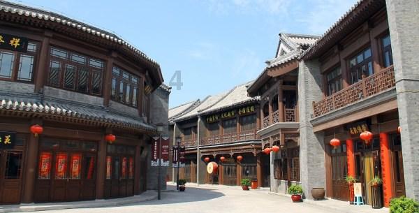 动物帮帮忙保卫家园